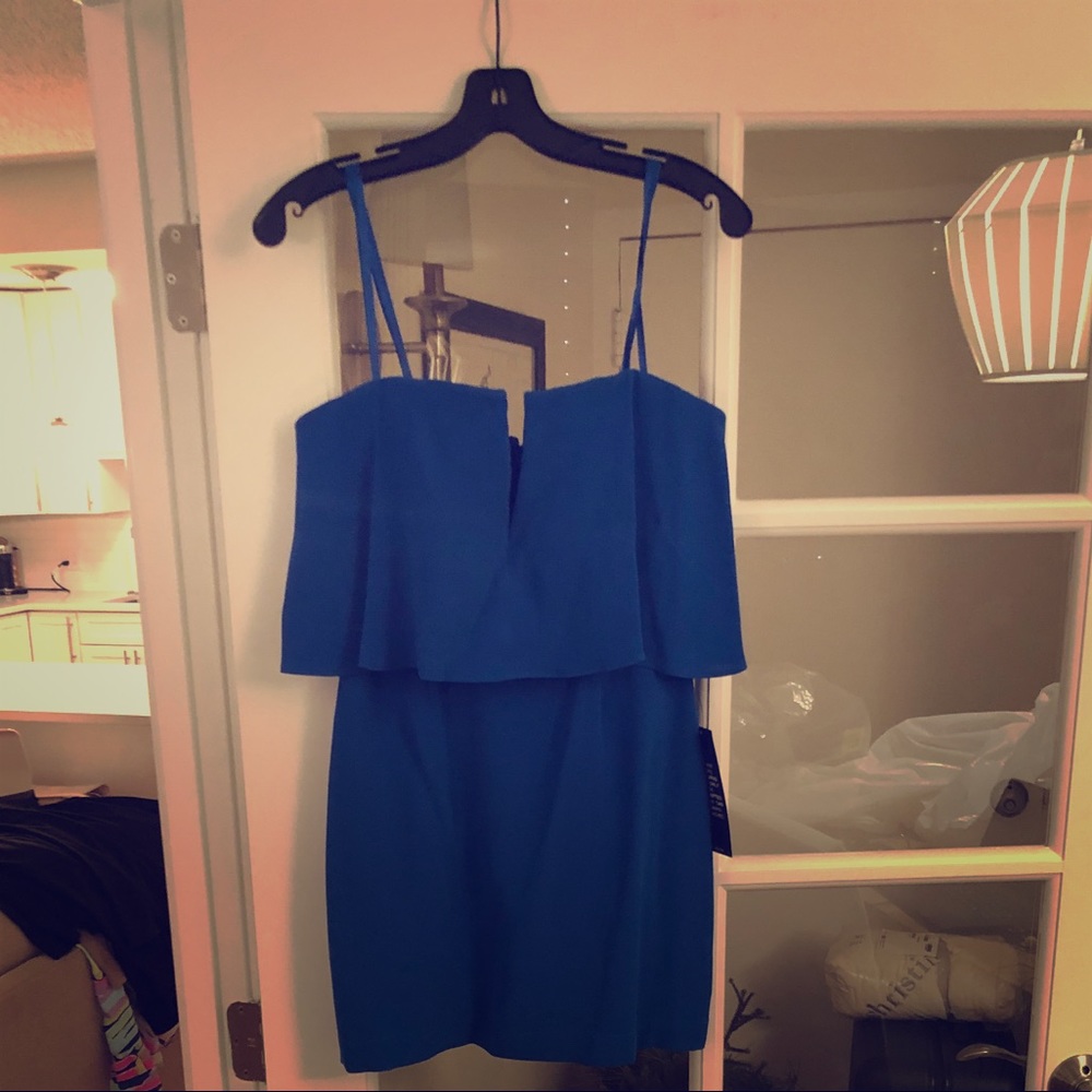 🆕 BCBG Kate Dress